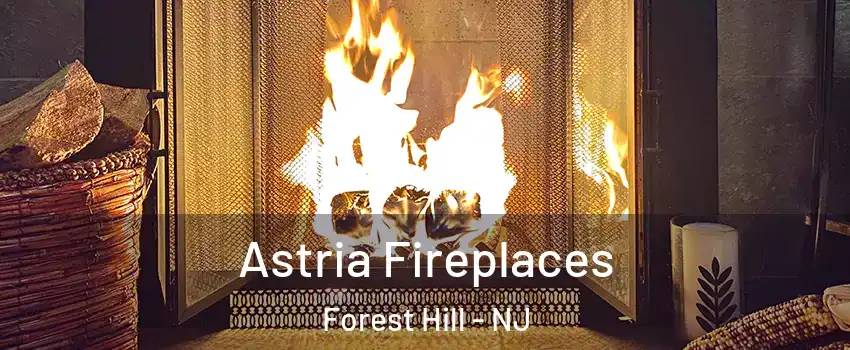 Astria Fireplaces Forest Hill - NJ
