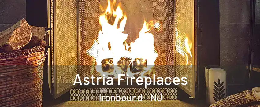 Astria Fireplaces Ironbound - NJ