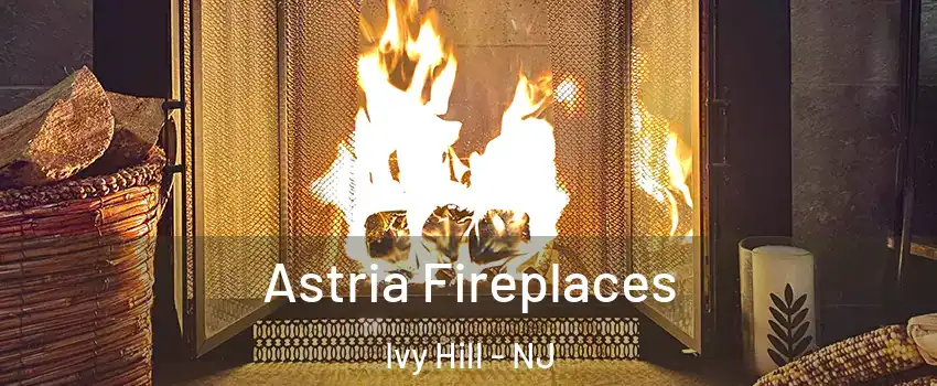 Astria Fireplaces Ivy Hill - NJ