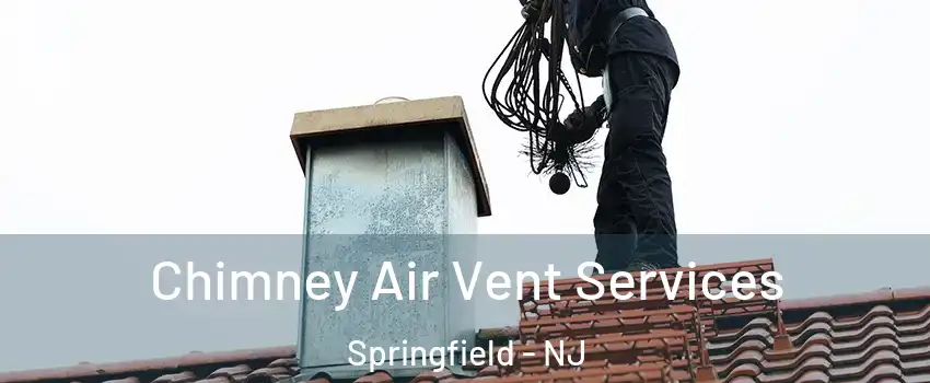 Chimney Air Vent Services Springfield - NJ