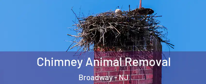 Chimney Animal Removal Broadway - NJ