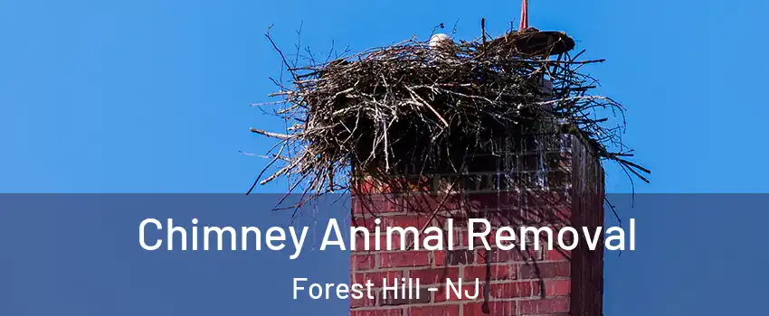 Chimney Animal Removal Forest Hill - NJ