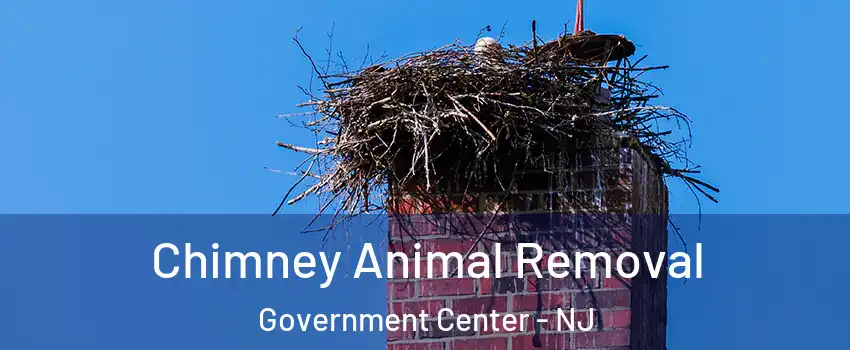 Chimney Animal Removal Government Center - NJ