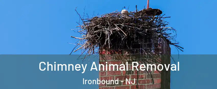 Chimney Animal Removal Ironbound - NJ
