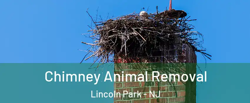 Chimney Animal Removal Lincoln Park - NJ
