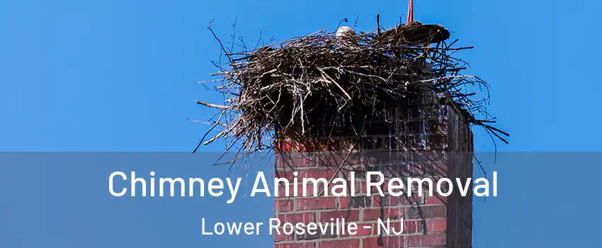 Chimney Animal Removal Lower Roseville - NJ