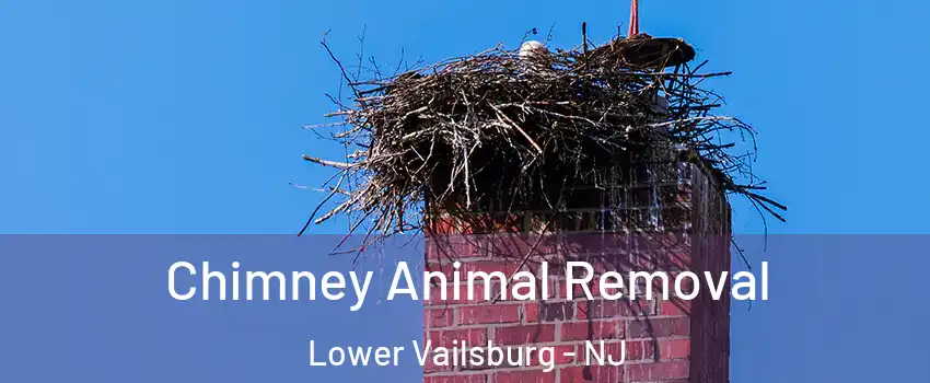 Chimney Animal Removal Lower Vailsburg - NJ