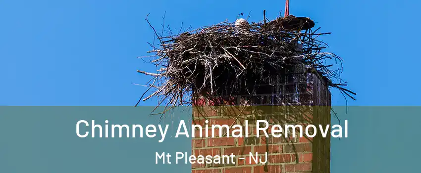 Chimney Animal Removal Mt Pleasant - NJ