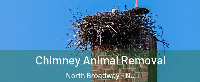 Chimney Animal Removal North Broadway - NJ