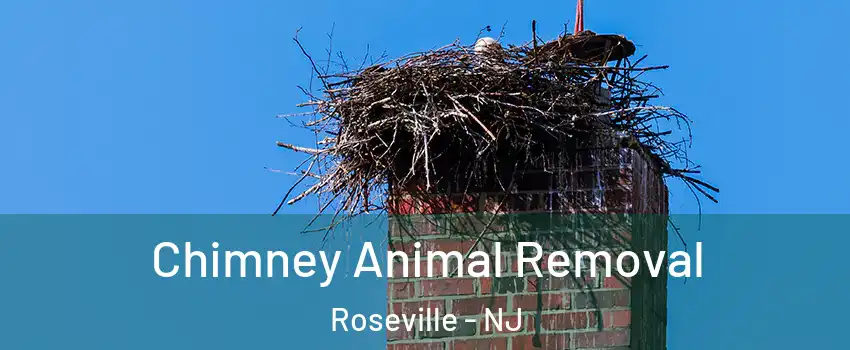Chimney Animal Removal Roseville - NJ