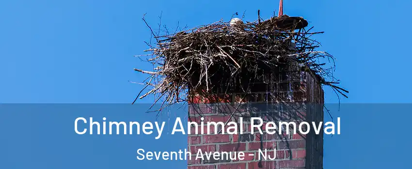 Chimney Animal Removal Seventh Avenue - NJ