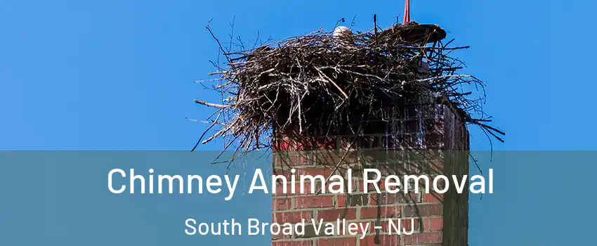 Chimney Animal Removal South Broad Valley - NJ
