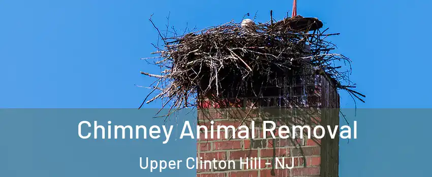 Chimney Animal Removal Upper Clinton Hill - NJ