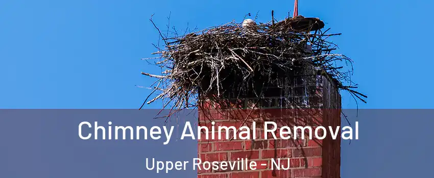 Chimney Animal Removal Upper Roseville - NJ