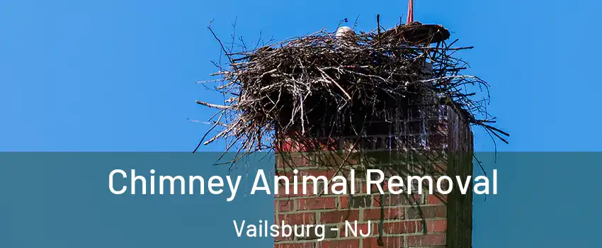 Chimney Animal Removal Vailsburg - NJ