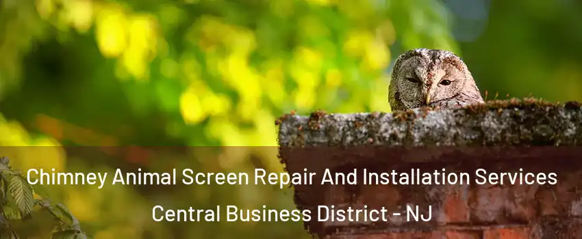 Chimney Animal Screen Repair And Installation Services Central Business District - NJ