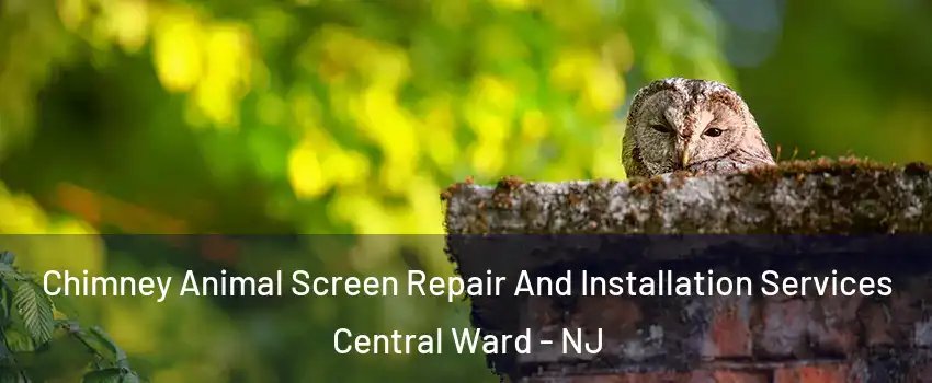 Chimney Animal Screen Repair And Installation Services Central Ward - NJ
