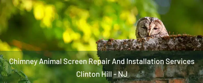 Chimney Animal Screen Repair And Installation Services Clinton Hill - NJ