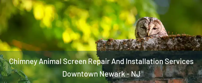 Chimney Animal Screen Repair And Installation Services Downtown Newark - NJ
