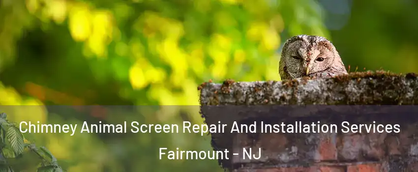 Chimney Animal Screen Repair And Installation Services Fairmount - NJ
