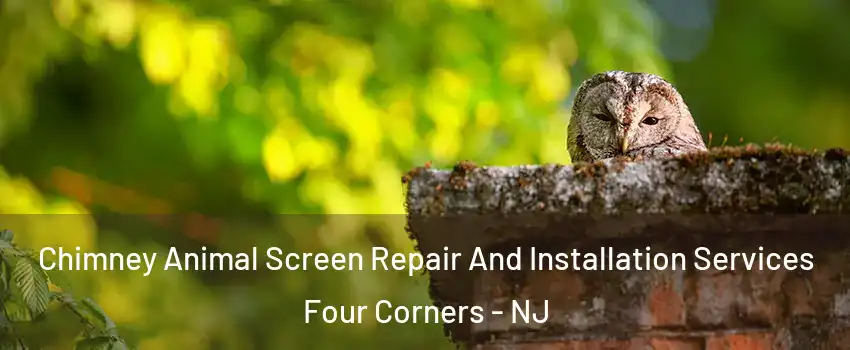 Chimney Animal Screen Repair And Installation Services Four Corners - NJ