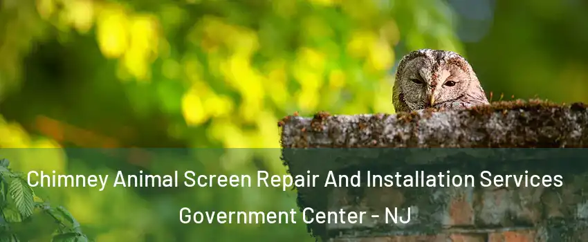 Chimney Animal Screen Repair And Installation Services Government Center - NJ