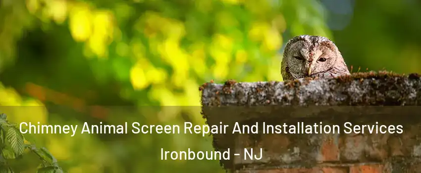 Chimney Animal Screen Repair And Installation Services Ironbound - NJ