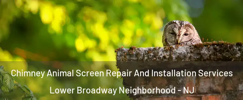 Chimney Animal Screen Repair And Installation Services Lower Broadway Neighborhood - NJ