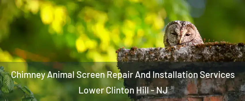 Chimney Animal Screen Repair And Installation Services Lower Clinton Hill - NJ