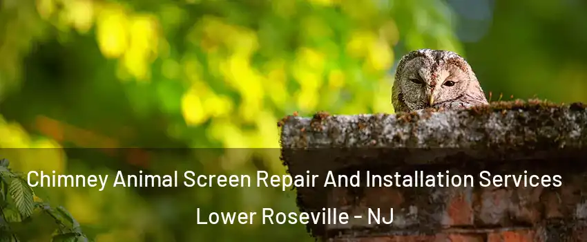 Chimney Animal Screen Repair And Installation Services Lower Roseville - NJ