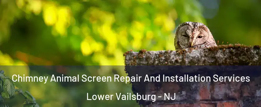 Chimney Animal Screen Repair And Installation Services Lower Vailsburg - NJ
