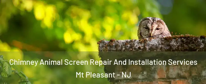 Chimney Animal Screen Repair And Installation Services Mt Pleasant - NJ