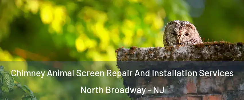 Chimney Animal Screen Repair And Installation Services North Broadway - NJ