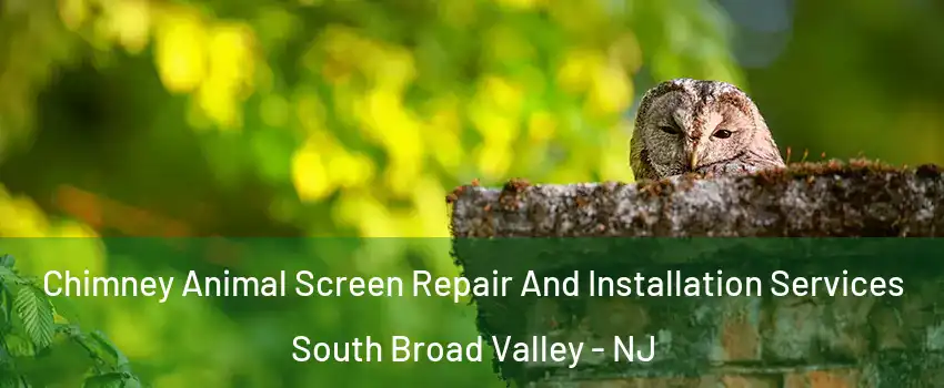 Chimney Animal Screen Repair And Installation Services South Broad Valley - NJ