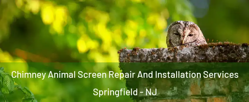 Chimney Animal Screen Repair And Installation Services Springfield - NJ