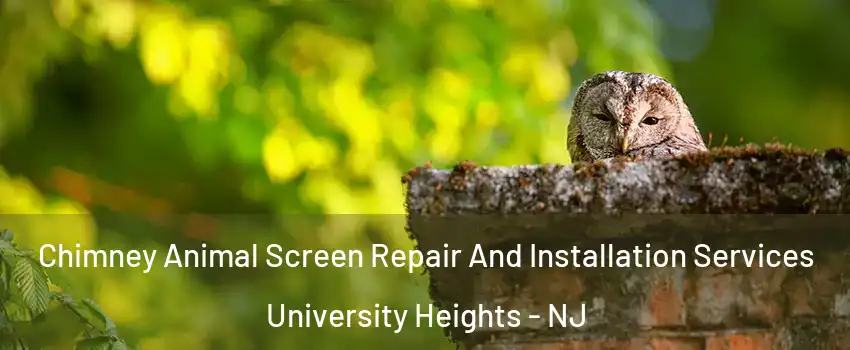Chimney Animal Screen Repair And Installation Services University Heights - NJ