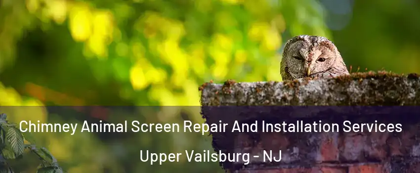 Chimney Animal Screen Repair And Installation Services Upper Vailsburg - NJ