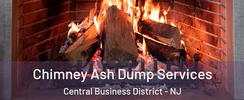 Chimney Ash Dump Services Central Business District - NJ