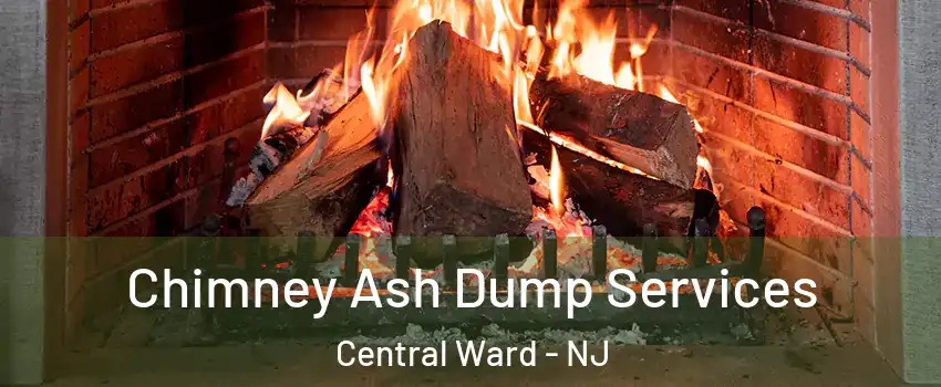 Chimney Ash Dump Services Central Ward - NJ