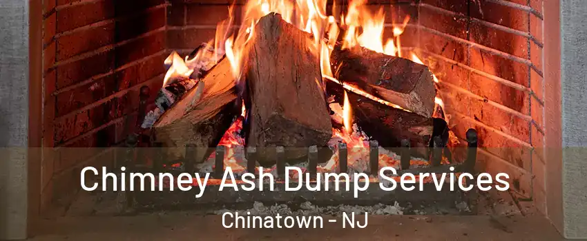Chimney Ash Dump Services Chinatown - NJ