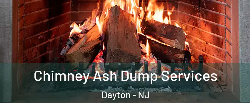 Chimney Ash Dump Services Dayton - NJ