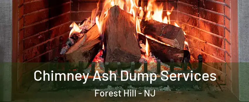Chimney Ash Dump Services Forest Hill - NJ