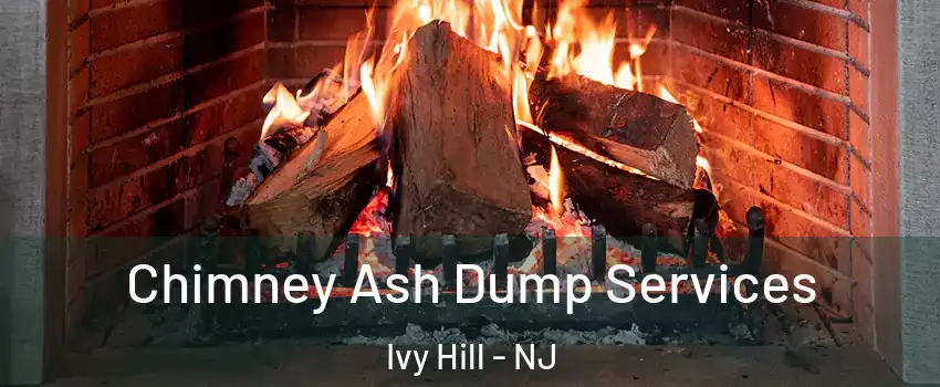 Chimney Ash Dump Services Ivy Hill - NJ