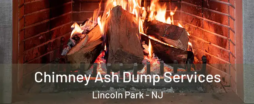 Chimney Ash Dump Services Lincoln Park - NJ