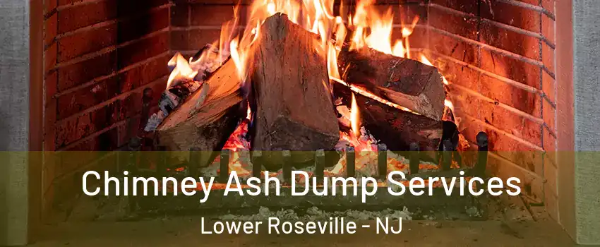 Chimney Ash Dump Services Lower Roseville - NJ