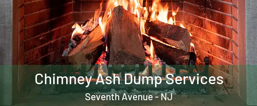 Chimney Ash Dump Services Seventh Avenue - NJ