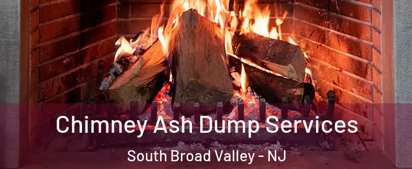 Chimney Ash Dump Services South Broad Valley - NJ