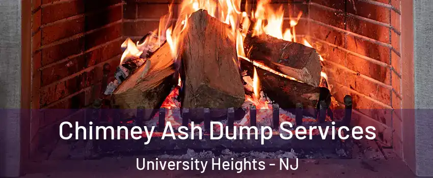 Chimney Ash Dump Services University Heights - NJ