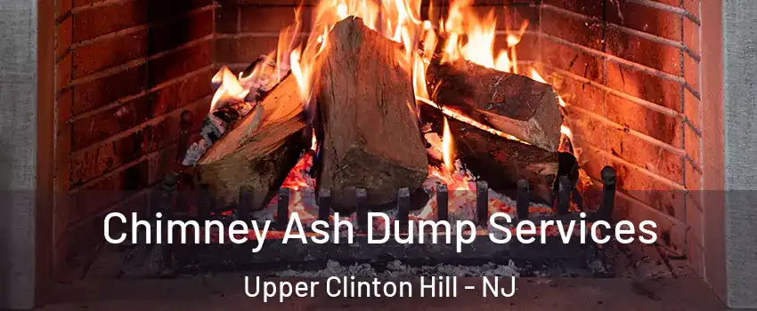 Chimney Ash Dump Services Upper Clinton Hill - NJ