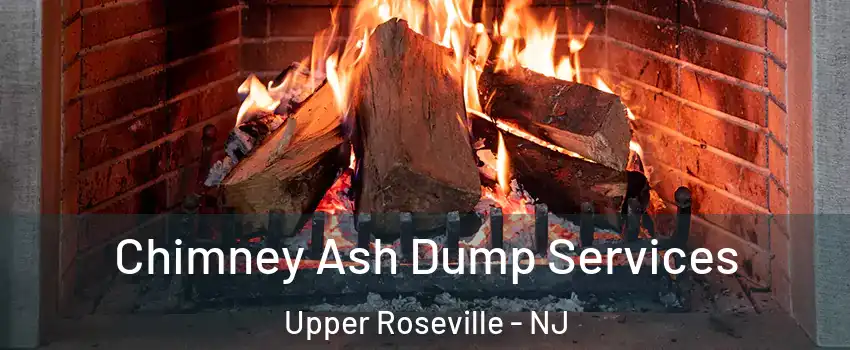 Chimney Ash Dump Services Upper Roseville - NJ